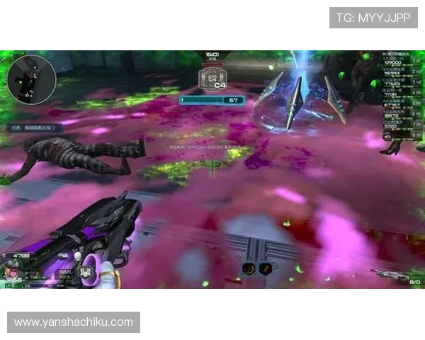 K8真人娱乐官网多平台兼容性与移动端体验优化分析